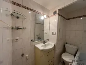 Prodej bytu 1+1, Duchcov, Vrchlického, 35 m2