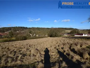 Prodej pozemku pro bydlení, Mirotice, 9991 m2