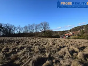 Prodej pozemku pro bydlení, Mirotice, 9991 m2