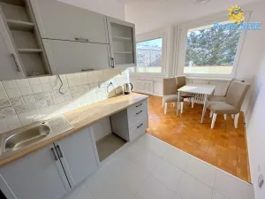 Pronájem bytu 3+1, Praha - Žižkov, Nad Ohradou, 81 m2