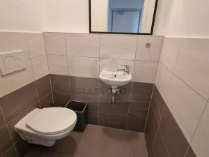 Pronájem bytu 2+kk, Praha - Čimice, Vánková, 66 m2
