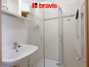 Pronájem bytu 1+kk, Brno, Palackého třída, 28 m2