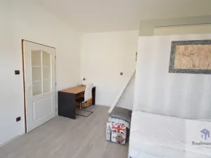 Pronájem bytu 1+1, Litoměřice - Předměstí, 28. října, 40 m2