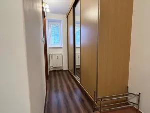 Pronájem bytu 2+1, Plzeň - Východní Předměstí, Božkovská, 57 m2