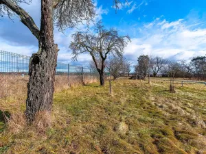 Prodej chaty, Prostějov, Za Kosteleckou, 30 m2