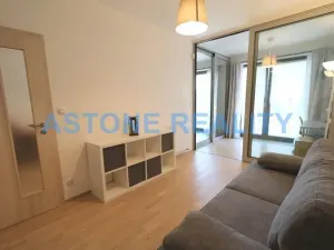 Pronájem bytu 4+kk, Praha - Žižkov, Olšanská, 110 m2