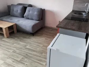 Pronájem bytu 1+kk, Olomouc, Dlouhá, 27 m2