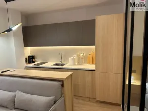 Prodej bytu 2+kk, Drač, 90 m2