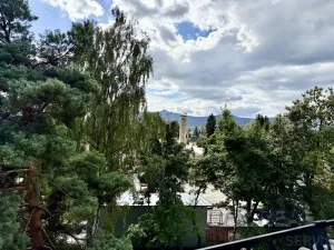 Prodej obchodního prostoru, Liberec - Liberec I-Staré Město, Ruprechtická, 481 m2