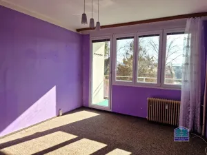 Prodej bytu 2+1, Stříbro, Gagarinova, 61 m2