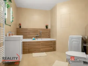 Pronájem bytu 2+kk, Plzeň - Jižní Předměstí, Železná, 52 m2