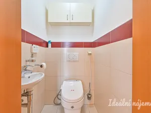 Pronájem bytu 3+kk, Brno, Majdalenky, 118 m2