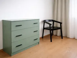 Pronájem bytu 2+1, Mladá Boleslav - Mladá Boleslav III, U Kasáren, 56 m2