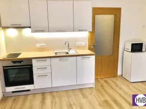 Prodej bytu 1+kk, Praha, Za černým mostem, 29 m2