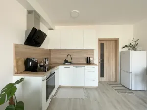 Pronájem bytu 1+kk, Olomouc, Edmunda Husserla, 29 m2