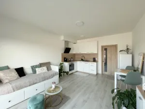 Pronájem bytu 1+kk, Olomouc, Edmunda Husserla, 29 m2