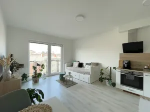 Pronájem bytu 1+kk, Olomouc, Edmunda Husserla, 29 m2