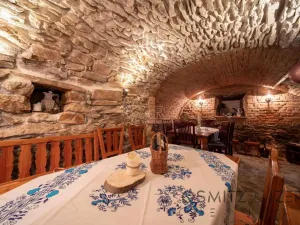 Prodej ubytování, Vikýřovice, Petrovská, 1063 m2