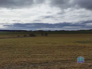 Prodej zemědělského objektu, Kotovice - Nový, 93 m2