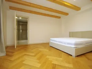 Pronájem atypického bytu, Praha - Nové Město, Bolzanova, 199 m2