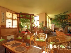 Prodej činžovního domu, Kladno, Osvoboz. pol. vězňů, 1000 m2