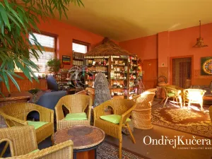 Prodej činžovního domu, Kladno, Osvoboz. pol. vězňů, 1000 m2