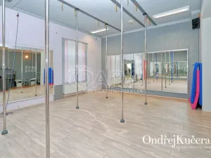 Prodej činžovního domu, Kladno, Osvoboz. pol. vězňů, 1000 m2