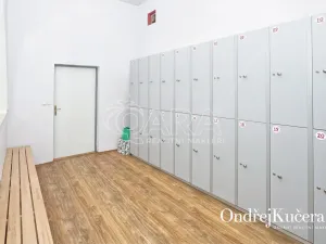 Prodej činžovního domu, Kladno, Osvoboz. pol. vězňů, 1000 m2