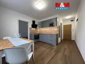 Pronájem bytu 1+1, Chomutov, Březenecká, 33 m2