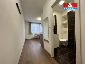 Pronájem bytu 1+1, Chomutov, Březenecká, 33 m2