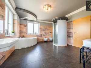 Prodej rodinného domu, Dalovice - Všeborovice, 315 m2