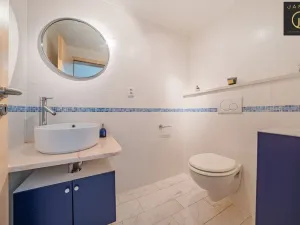 Prodej rodinného domu, Dalovice - Všeborovice, 315 m2