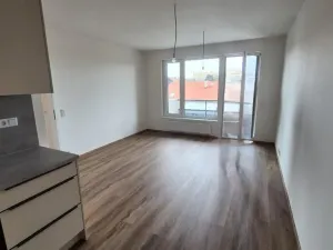Pronájem bytu 2+kk, Praha - Kamýk, Hodkovická, 56 m2
