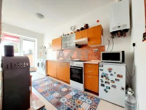 Prodej bytu 3+1, Krnov - Pod Bezručovým vrchem, Březinova, 177 m2