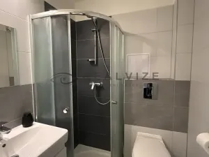 Prodej bytu 1+1, České Budějovice, Hálkova, 30 m2