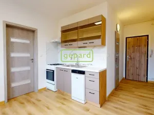 Pronájem bytu 1+1, Ústí nad Labem, Kmochova, 36 m2