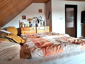 Prodej chalupy, Vysoké Veselí, 290 m2