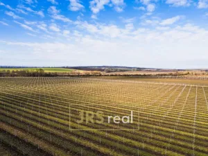 Prodej ubytování, Prušánky, Nechory, 145 m2