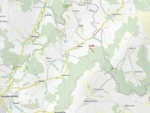 Dražba lesa, Vilice, 1105 m2