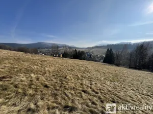 Prodej pozemku pro bydlení, Lázně Libverda, 17151 m2