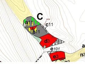 Dražba lesa, Písečná, 447 m2