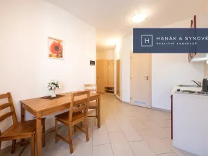 Pronájem bytu 2+1, Brno, Anenská, 49 m2