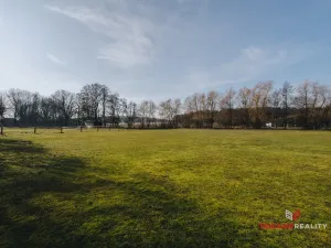 Prodej pole, Nechanice - Nerošov, 4198 m2