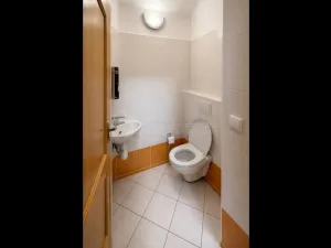 Pronájem bytu 2+1, Hlučín, Mírové náměstí, 127 m2