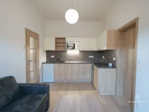 Pronájem bytu 2+kk, České Budějovice - České Budějovice 5, Dělnická, 40 m2