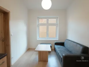 Pronájem bytu 2+kk, České Budějovice - České Budějovice 5, Dělnická, 40 m2