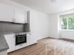 Pronájem bytu 2+kk, Praha - Žižkov, Baranova, 47 m2