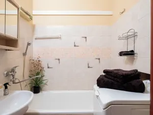 Prodej bytu 2+1, Lovosice, Sady pionýrů, 51 m2