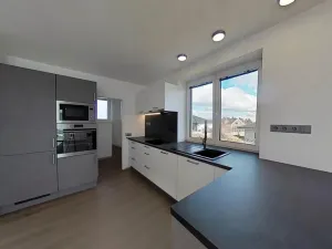 Pronájem bytu 3+kk, Rudíkov, 100 m2