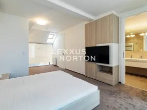 Pronájem bytu 3+kk, Praha - Nové Město, Záhořanského, 109 m2